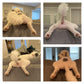 The Original Booty Splooty Keychain