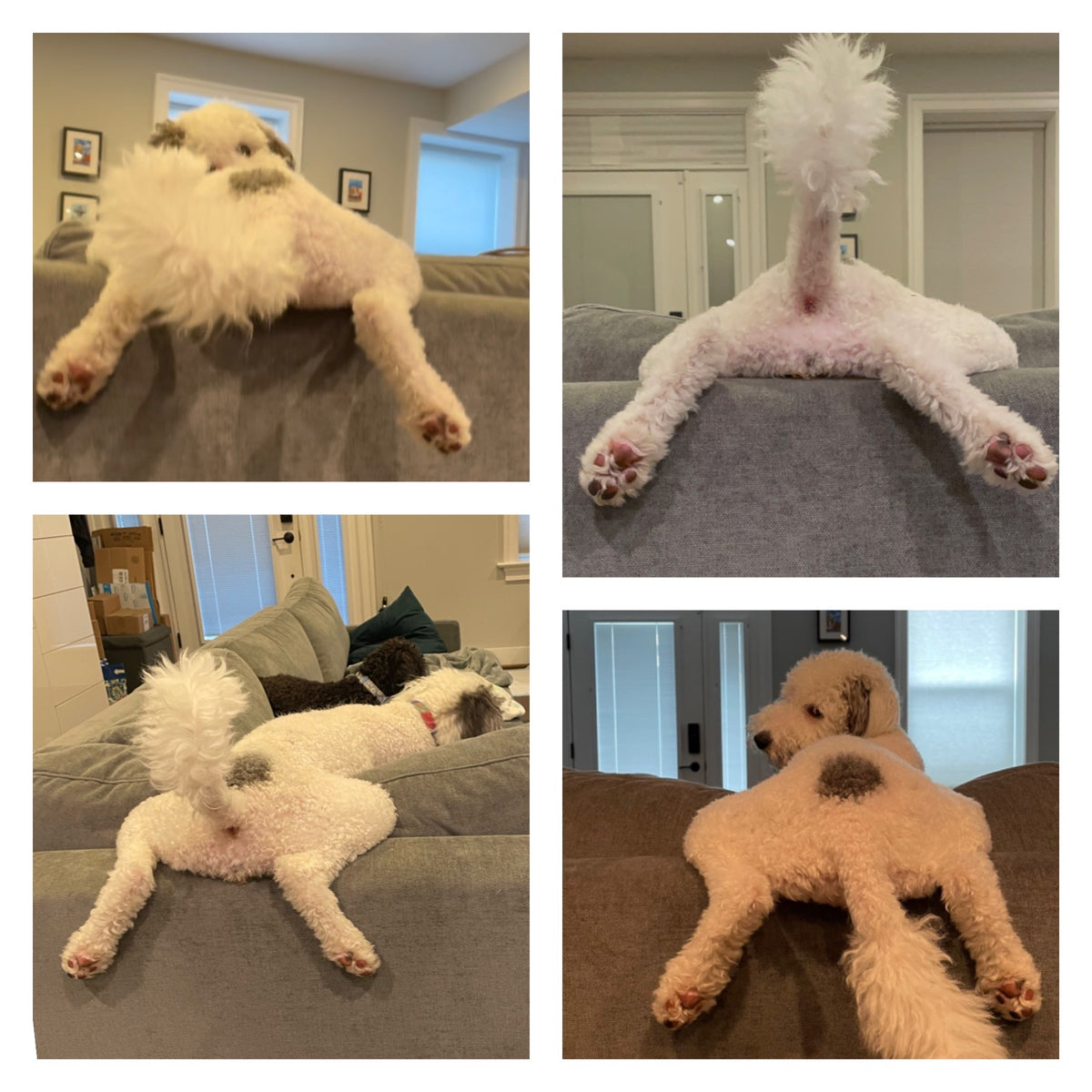 The Original Booty Splooty Keychain